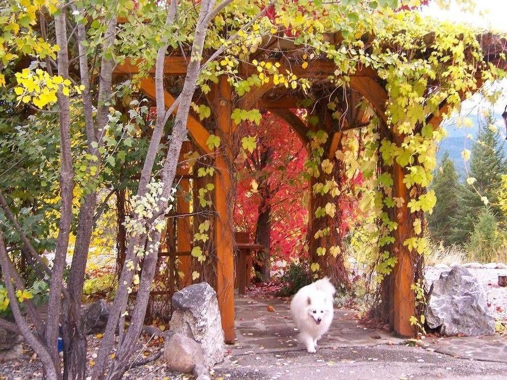 Kapristo Lodge Golden Dış mekan fotoğraf