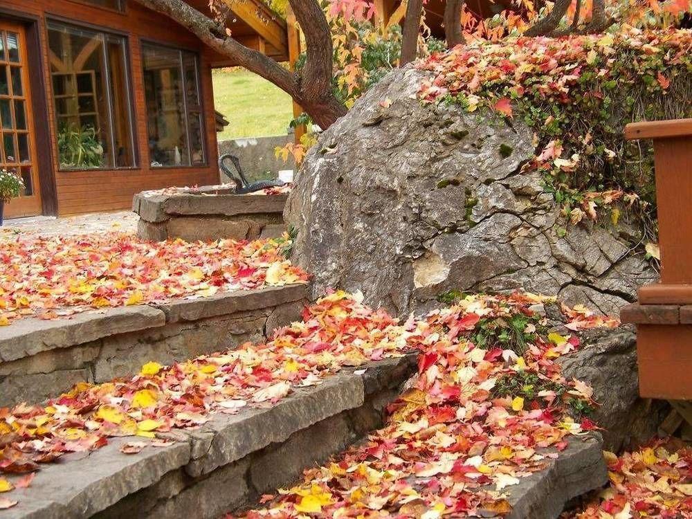 Kapristo Lodge Golden Dış mekan fotoğraf